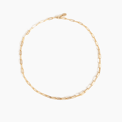 Ever Charming Chain | Necklace