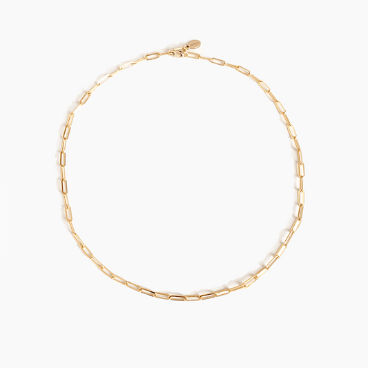 Ever Charming Chain | Necklace