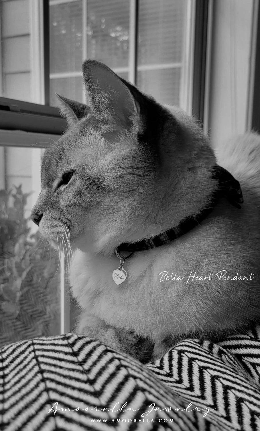BELLA